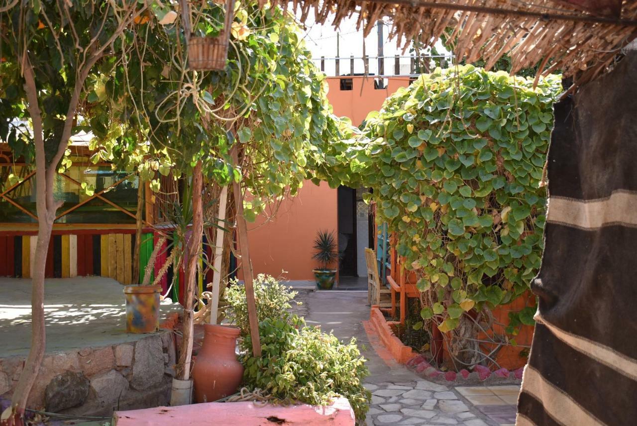 Bedouin Garden Village, Hotel Dive Áqaba Exterior foto