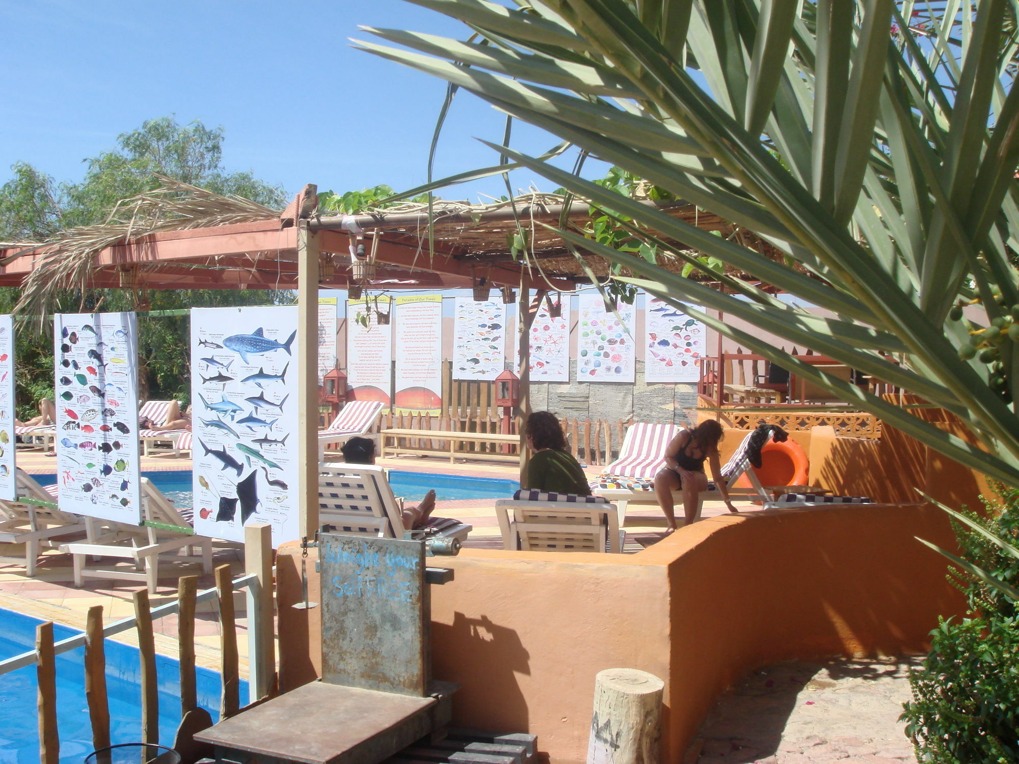 Bedouin Garden Village, Hotel Dive Áqaba Exterior foto